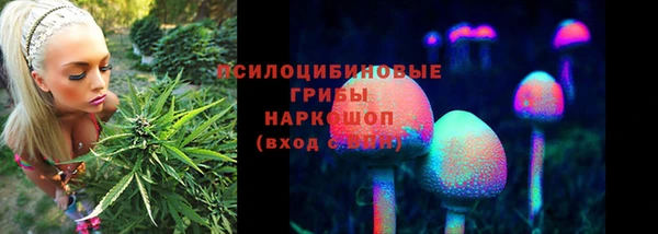 прущая мука Гусиноозёрск