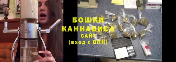 ALPHA PVP Гусев