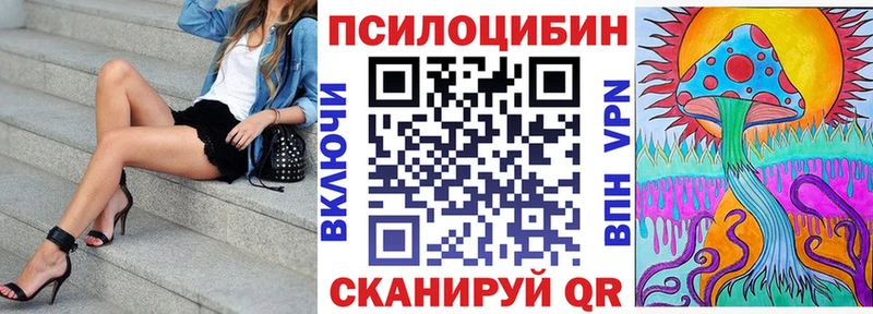 Псилоцибиновые грибы мицелий  Дубовка 