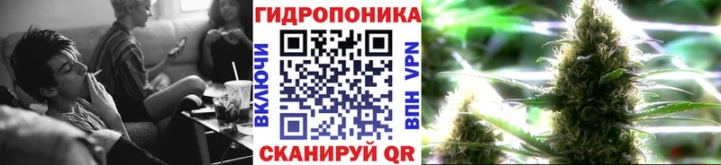 Бошки марихуана семена  блэк спрут рабочий сайт  Дубовка 